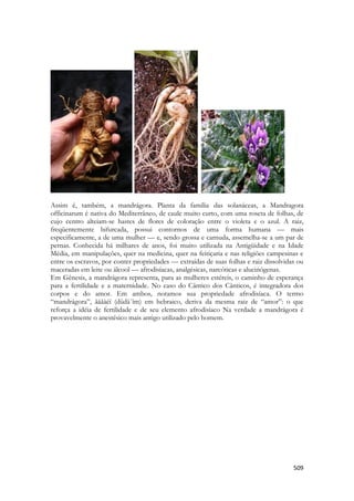 509 
Assim é, também, a mandrágora. Planta da família das solanáceas, a Mandragora officinarum é nativa do Mediterrâneo, de caule muito curto, com uma roseta de folhas, de cujo centro alteiam-se hastes de flores de coloração entre o violeta e o azul. A raiz, freqüentemente bifurcada, possui contornos de uma forma humana — mais especificamente, a de uma mulher — e, sendo grossa e carnuda, assemelha-se a um par de pernas. Conhecida há milhares de anos, foi muito utilizada na Antigüidade e na Idade Média, em manipulações, quer na medicina, quer na feitiçaria e nas religiões campesinas e entre os escravos, por conter propriedades — extraídas de suas folhas e raiz dissolvidas ou maceradas em leite ou álcool — afrodisíacas, analgésicas, narcóticas e alucinógenas. 
Em Gênesis, a mandrágora representa, para as mulheres estéreis, o caminho de esperança para a fertilidade e a maternidade. No caso do Cântico dos Cânticos, é integradora dos corpos e do amor. Em ambos, notamos sua propriedade afrodisíaca. O termo “mandrágora”, ãåãàéí (dûdä´îm) em hebraico, deriva da mesma raiz de “amor”: o que reforça a idéia de fertilidade e de seu elemento afrodisíaco Na verdade a mandrágora é provavelmente o anestésico mais antigo utilizado pelo homem. 
 