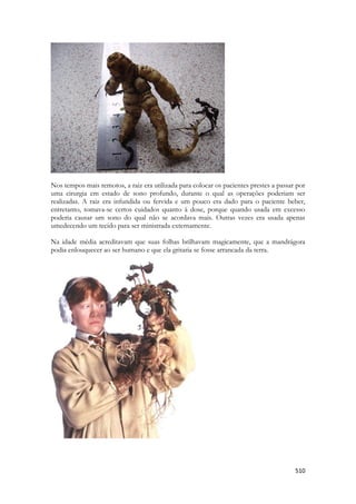 510 
Nos tempos mais remotos, a raiz era utilizada para colocar os pacientes prestes a passar por uma cirurgia em estado de sono profundo, durante o qual as operações poderiam ser realizadas. A raiz era infundida ou fervida e um pouco era dado para o paciente beber, entretanto, tomava-se certos cuidados quanto à dose, porque quando usada em excesso poderia causar um sono do qual não se acordava mais. Outras vezes era usada apenas umedecendo um tecido para ser ministrada externamente. 
Na idade média acreditavam que suas folhas brilhavam magicamente, que a mandrágora podia enlouquecer ao ser humano e que ela gritaria se fosse arrancada da terra. 
 