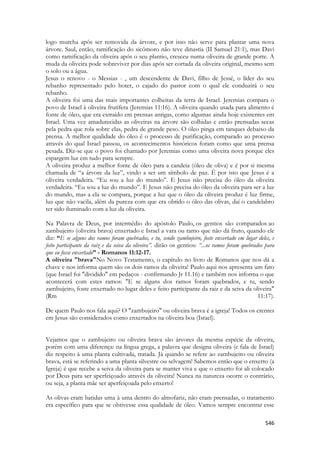 546 
logo murcha após ser removida da árvore, e por isso não serve para plantar uma nova árvore. Saul, então, ramificação do sicômoro não teve dinastia (II Samuel 21:1), mas Davi como ramificação da oliveira após o seu plantio, cresceu numa oliveira de grande porte. A muda da oliveira pode sobreviver por dias após ser cortada da oliveira original, mesmo sem o solo ou a água. 
Jesus o renovo - o Messias - , um descendente de Davi, filho de Jessé, o líder do seu rebanho representado pelo hoter, o cajado do pastor com o qual ele conduzirá o seu rebanho. 
A oliveira foi uma das mais importantes colheitas da terra de Israel. Jeremias compara o povo de Israel à oliveira frutífera (Jeremias 11:16). A oliveira quando usada para alimento é fonte de óleo, que era extraído em prensas antigas, como algumas ainda hoje existentes em Israel. Uma vez amadurecidas as oliveiras na árvore são colhidas e então prensadas secas pela pedra que rola sobre elas, pedra de grande peso. O óleo pinga em tanques debaixo da prensa. A melhor qualidade do óleo é o processo de purificação, comparado ao processo através do qual Israel passou, os acontecimentos históricos foram como que uma prensa pesada. Diz-se que o povo foi chamado por Jeremias como uma oliveira nova porque eles espargem luz em tudo para sempre. 
A oliveira produz a melhor fonte de óleo para a candeia (óleo de oliva) e é por si mesma chamada de “a árvore da luz”, vindo a ser um símbolo de paz. É por isto que Jesus é a oliveira verdadeira. “Eu sou a luz do mundo”. E Jesus não precisa do óleo da oliveira verdadeira. “Eu sou a luz do mundo”. E Jesus não precisa do óleo da oliveira para ser a luz do mundo, mas a ela se compara, porque a luz que o óleo da oliveira produz é luz firme, luz que não vacila, além da pureza com que era obtido o óleo das olivas, daí o candelabro ter sido iluminado com a luz da oliveira. 
Na Palavra de Deus, por intermédio do apóstolo Paulo, os gentios são comparados ao zambujeiro (oliveira brava) enxertado e Israel a vara ou ramo que não dá fruto, quando ele diz: “E se alguns dos ramos foram quebrados, e tu, sendo zambujeiro, foste enxertado em lugar deles, e feito participante da raiz e da seiva da oliveira”. dirão os gentios: “...os ramos foram quebrados para que eu fosse enxertado” - Romanos 11:12-17. 
A oliveira "brava"No Novo Testamento, o capítulo no livro de Romanos que nos dá a chave e nos informa quem são os dois ramos da oliveira! Paulo aqui nos apresenta um fato (que Israel foi "dividido" em pedaços - confirmando Jr 11.16) e também nos informa o que acontecerá com estes ramos: "E se alguns dos ramos foram quebrados, e tu, sendo zambujeiro, foste enxertado no lugar deles e feito participante da raiz e da seiva da oliveira" (Rm 11:17). De quem Paulo nos fala aqui? O "zambujeiro" ou oliveira brava é a igreja! Todos os crentes em Jesus são considerados como enxertados na oliveira boa (Israel). 
Vejamos que o zambujeiro ou oliveira brava são árvores da mesma espécie da oliveira, porém com uma diferença: na língua grega, a palavra que designa oliveira (e fala de Israel) diz respeito à uma planta cultivada, tratada. Já quando se refere ao zambujeiro ou oliveira brava, está se referindo a uma planta silvestre ou selvagem! Sabemos então que o enxerto (a Igreja) é que recebe a seiva da oliveira para se manter viva e que o enxerto foi ali colocado por Deus para ser aperfeiçoado através da oliveira! Nunca na natureza ocorre o contrário, ou seja, a planta mãe ser aperfeiçoada pelo enxerto! 
As olivas eram batidas uma à uma dentro do almofariz, não eram prensadas, o tratamento era específico para que se obtivesse essa qualidade de óleo. Vamos sempre encontrar esse  