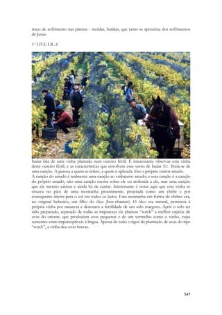 547 
traço de sofrimento nas plantas - moídas, batidas, que tanto se aproxima dos sofrimentos de Jesus. 
V I D E I R A 
Isaías fala de uma vinha plantada num outeiro fértil. É interessante observar esta vinha deste outeiro fértil, e as características que envolvem esse verso de Isaías 5:1. Trata-se de uma canção. A pessoa a quem se refere, a quem é aplicada. Era o próprio cantor amado. 
A canção do amado é realmente uma canção ao vinhateiro amado; e esta canção é a canção do próprio amado, não uma canção escrita sobre ele ou atribuída a ele, mas uma canção que ele mesmo cantou e ainda há de cantar. Interessante é notar aqui que esta vinha se situava no pico de uma montanha proeminente, projetada como um chifre e por conseguinte aberta para o sol em todos os lados. Esta montanha em forma de chifres era, no original hebraico, um filho do óleo (ben-chamen). O óleo era natural, pertencia à própria vinha por natureza e denotava a fertilidade de um solo margoso. Após o solo ter sido preparado, separado de todas as impurezas ele plantou “sorek” a melhor espécie de uvas do oriente, que produziam uvas pequenas e de um vermelho como o vinho, cujas sementes eram imperceptíveis à língua. Apesar de todo o rigor da plantação de uvas do tipo “sorek”, a vinha deu uvas bravas. 
 