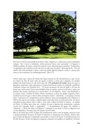 554 
Em Lucas 13:6 há outra parábola de Jesus sobre a figueira e a vinha. Jesus estava marcando tempos: “há 3 anos o vinhateiro vinha procurar frutos sem encontrar”. A figueira é símbolo político de Israel, e Israel foi quantas vezes advertido pelos profetas: “Certamente os apanharei, diz o Senhor, já não há uvas na vide, nem irá deles”. (Jeremias 8:13) - “Fez da minha vide uma assolação e tirou a casca da minha figueira; despiu-a toda, e a lançou por terra; os seus sarmentos se embranqueceram”. (Joel 1:7). 
Vimos então que a época do brotar dos figos começa no fim da primavera, o que ocorre em Israel em fins de maio indo até agosto. Curioso é notar que a figueira, no sentido político de Israel brotou no dia 14 de maio de 1948, próximo do verão, época em que os figuinhos temporãos estão agarrados ao tronco; Israel neste tempo, já cumprida a parábola, frutificará. Lemos em Zacarias 8:13 - “E há de acontecer oh casa de Judá, e oh casa de Israel, que assim como fostes uma maldição entre as nações, assim vos salvarei, e sereis um bênção; não temais, esforcem-se as vossas mãos”. E esta figueira - Israel - tem frutificado e se tornou como o jardim do Éden. Floriu, reverdeceu e Jesus tão ligado à figueira, breve receberá na nuvem que o vimos subir, na mesma nuvem - shechinah - a sua igreja o ouvirá dizer: “sobe para cá”, cumprindo-se assim a Palavra. Jesus está interligado com a figueira. A Palavra diz que no seu tempo, a figueira daria raízes para baixo e fruto para cima. As raízes estendem-se para abaixo indo a Adão e Noé onde o plano de Deus se iniciou - no jardim do Éden. As folhas para cima são o indício de que a figueira está anunciando o grande evento tão esperado desde a antiguidade - o arrebatamento da igreja. No milênio o vinhateiro - o dono da vinha e da figueira - entregará ao seu dono a vinha e a figueira com os seus figuinhos. O espaço que ela ocupou não foi inútil. 
Diz-se em Israel que como os figos não amadurecem todos a um só tempo, assim foi com o desenvolvimento do povo de Israel. O primeiro a amadurecer foi Abraão. Ainda é dito que a forma da figueira é comparada a Jerusalém e ao povo de Israel. A semelhança decorre do fato de que o tronco da figueira é pequeno, enquanto seus galhos se espalham e formam  