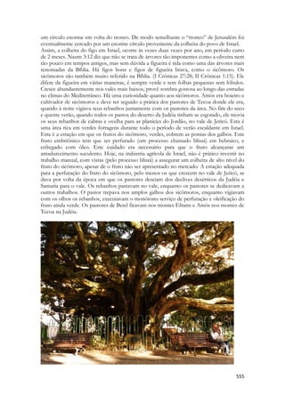 555 
um círculo enorme em volta do tronco. De modo semelhante o “tronco” de Jerusalém foi eventualmente cercado por um enorme círculo proveniente da colheita do povo de Israel. 
Assim, a colheita do figo em Israel, ocorre às vezes duas vezes por ano, em período curto de 2 meses. Naum 3:12 diz que não se trata de árvores tão imponentes como a oliveira nem tão pouco em tempos antigos, mas sem dúvida a figueira é tida como uma das árvores mais renomadas da Bíblia. Há figos bons e figos de figueira brava, como o sicômoro. Os sicômoros são também muito referido na Bíblia. (I Crônicas 27:28; II Crônicas 1:15). Ele difere da figueira em várias maneiras, é sempre verde e tem folhas pequenas sem lóbulos. Cresce abundantemente nos vales mais baixos, provê sombra gostosa ao longo das estradas no climas do Mediterrâneo. Há uma curiosidade quanto aos sicômoros. Amós era boieiro e cultivador de sicômoros e deve ter seguido a prática dos pastores de Tecoa donde ele era, quando à noite vigiava seus rebanhos juntamente com os pastores da área. No fim do seco e quente verão, quando todos os pastos do deserto da Judéia tinham se esgotado, ele movia os seus rebanhos de cabras e ovelha para as planícies do Jordão, no vale de Jericó. Esta é uma área rica em verdes forragens durante todo o período de verão escaldante em Israel. Esta é a estação em que os frutos do sicômoro, verdes, cobrem as pontas dos galhos. Este fruto embriônico tem que ser perfurado (um processo chamado blissá) em hebraico, e esfregado com óleo. Este cuidado era necessário para que o fruto alcançasse um amadurecimento suculento. Hoje, na indústria agrícola de Israel, não é prático investir no trabalho manual, com vistas (pelo processo blissá) a assegurar um colheita de alto nível do fruto do sicômoro, apesar de o fruto não ser apresentado no mercado. A estação adequada para a perfuração do fruto do sicômoro, pelo menos os que crescem no vale de Jericó, se dava por volta da época em que os pastores desciam dos declives desérticos da Judéia e Samaria para o vale. Os rebanhos pastavam no vale, enquanto os pastores se dedicavam a outros trabalhos. O pastor trepava nos amplos galhos dos sicômoros, enquanto vigiavam com os olhos os rebanhos, executavam o monótono serviço de perfuração e oleificação do fruto ainda verde. Os pastores de Betel ficavam nos montes Efraim e Amós nos montes de Tecoa na Judéia. 
 