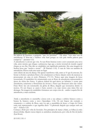 564 
Na palavra de Jeremias, à pergunta: “que vês Jeremias?” - Ele disse: “vejo uma vara de amendoeira. E disse-me o Senhor: viste bem porque eu velo pela minha palavra para cumpri-la.” - Jeremias 1:12. 
A amendoeira é a árvore que vela. As suas flores brancas como a neve anunciam uma nova vida, antes mesmo que chegue a primavera, logo que a morte invernal do mundo vegetal chegue ao seu fim. Elas dão ao candelabro um significado particular. São uma imagem do Senhor Jesus que “anulou a morte” - (II Timóteo 1:10). A vara de Arão era também de amendoeira. Passou toda uma noite no lugar 
santo diante da arca da aliança. Ela apenas manifestou vida, entre as 11 que lá estavam, fez brotar os botões e produziu flores e fez amadurecer os frutos. Quatro ciclos da natureza se processaram em uma só noite (Números 17:1-11). Temos aqui uma imagem de Jesus ressuscitado. O candelabro foi ornamentado com as flores da amendoeira representando a época da oferta dos frutos. A palavra shaked da qual deriva no hebraico, o nome para amendoeira, caracteriza a florescência de árvores e frutos que florescem antes das outras. Estas flores são um testemunho da glória de Deus, daquele que ressuscitou dentre os mortos. Os seis braços se unem à haste central e no topo restou uma única flor em destaque. Na imagem do candelabro formamos um corpo com ele - unidos à aquela flor de amendoeira, a mais excelente. 
Ainda a amendoeira se assemelha a Jesus com a sua cabeça e cabelos brancos como a branca lã, brancos como a neve (Apocalipse 1:14). Os seis braços são contudo o ornamento e o enfeite de Deus, uma vez que a assembléia de Jesus, o Corpo de Cristo estão nele representados o que significa dizer: “A plenitude daquele que cumpre tudo em nós.” - Efésios 1:23. 
Começa a florir por volta de fevereiro. Em princípios de março (Adar), as folhas já estão desenvolvidas. Quatro meses depois as amêndoas amadurecem, por volta do fim de Junho (Iyar-Sivan). 
R O M E I R A 
 