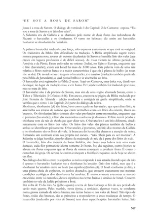 567 
“E U S O U A R O S A D E S A R O M” 
Jesus é a rosa de Sarom. O diálogo do versículo 1 do Capítulo 2 de Cantares: esposa. “Eu sou a rosa de Sarom e o lírio dos vales”. 
A Sulamita era da Galiléia e se chamava pelo nome de duas flores das redondezas de Nazaré: o havatzélet e os shoshanim. O verso no hebraico diz assim ani havatzélet hasharon ve shoshanim ha ´amakim. 
A palavra havatzélet traduzida por força, não expressa exatamente o que está no original. Os tradutores da Bíblia têm dificuldade na tradução. A Bíblia amplificada sugere vários nomes: pequena rosa, crocus do outono da planície de Sarom e humilde lírio dos vales (que cresce em lugares profundos e de difícil acesso). As rosas vieram no último período da Armênia e da Pérsia. Eram cultivadas no oriente (India), no Egito e Europa, enquanto que o lírio (havatzélet), existe em Israel há mais de 3.000 anos. Esta palavra vem de uma raiz relativa a flores nativas batzal e a maior característica é que ela é planta de bulbo (as rosas não o são). De acordo com o targum o havatzélet, é o narciso (tradução também preferida pela Bíblia de Jerusalém), o qual possui brilho e se assemelha ao lírio. 
O havatzélet está registrado na Bíblia 2 vezes. Aqui em Cantares, uma única vez, dando um destaque, no lugar da tradução rosa, e em Isaías 35:1, onde também foi traduzido por rosa, mas se trata do lírio. 
O havatzélet não é da planície de Sarom, mas sim de uma região chamada Sarom, entre o Tabor e Tiberíades (I Crônicas 5:16). Em anexo, encontra-se página da Bíblia traduzida por João Ferreira de Almeida - edição atualizada e corrigida na grafia simplificada, onde se verifica que o verso 1 do Capítulo 2 é parte do diálogo da noiva. 
Shoshanat, shoshanim (pl) são lírios, bem como a palavra havatzélet, que quer dizer lírio, se assemelha aos crocus de outono que eram vermelhos como os lírios do oriente, lilazes ou brancos. Os shoshanim lírios comuns dos vales profundos entre montanhas, enquanto que o primeiro (havatzélet), é lírio das montanhas conforme já dissemos. O lírio tem 6 pétalas e shoshana vem da raiz de shesh que quer dizer seis. O havatzélet é um lírio diferente, citado juntamente com os lírios dos vales. Os lírios dos vales são plantas também de bulbo e ambas se identificam plenamente. O havatzélet, é portanto, um lírio dos montes da Galiléia e os shoshanim são os lírios do vale. A brancura do havatzélet chamou a atenção da noiva, formando um contraste com sua própria cor escura - “não olheis para eu ser morena”. A Sulamita se julga humilde, simples diante da majestade do rei; ela é parte dos lírios do vale. 
O havatzélet, lírio dos montes da baixa Galiléia, são flores cuja beleza tem uma curta duração, cada flor permanece aberta somente 24 horas. No dia seguinte, outros botões se abrem em flores enquanto que as flores de ontem começam a produzir fruto. É como o caminhar da igreja. Os servos de ontem começam a frutificar enquanto os de hoje se abrem em flor. 
No diálogo dos lírios entre os espinhos o noivo responde à sua amada dizendo que ela não é apenas o havatzélet hasharon ou a shoshanat ha´amakim (lírio dos vales), mas que é a shoshanat ha´amakim entre os hoah (os espinhos)(hohim-pl). O hoah conforme já dito, é uma planta cheia de espinhos, os cardos dourados, que crescem exatamente nas mesmas condições ecológicas dos shoshanata ha´amakim. É muito comum encontrar o narciso crescendo entre os caminhos destes espinhos nas terras baixas e umidas de Israel. Crescem também no vale da Judéia próximos a Ivné. 
Por volta de 15 do mês Av (julho-agosto) a terra de Israel alcança o fim do seu período de verão mais quente. Pelas manhãs, nesta época, a umidade, algumas vezes, se condensa numa grossa camada de névoa branca, nas terras baixas e nos vales de Israel. Três tipos de flores, todas elas brancas, são as primeiras a responderem a estas mudanças de tempo. O havatzélet (traduzido por rosa de Sarom) tem duas especificações: havatzélet hahar, lírio  