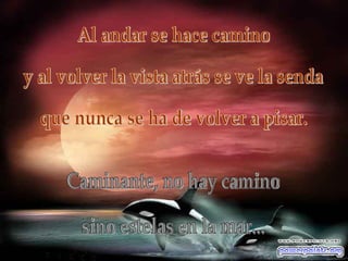 Al andar se hace camino y al volver la vista atrás se ve la senda que nunca se ha de volver a pisar.  Caminante, no hay camino sino estelas en la mar...  