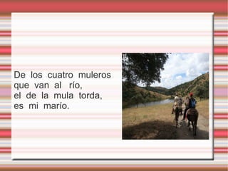 De los cuatro muleros
que van al río,
el de la mula torda,
es mi marío.
 