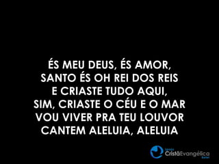 ÉS MEU DEUS, ÉS AMOR,
SANTO ÉS OH REI DOS REIS
E CRIASTE TUDO AQUI,
SIM, CRIASTE O CÉU E O MAR
VOU VIVER PRA TEU LOUVOR
CANTEM ALELUIA, ALELUIA
 