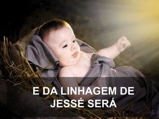 E DA LINHAGEM DE
JESSÉ SERÁ

 