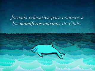 Jornada educativa para conocer a
los mamíferos marinos de Chile.
 