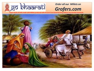 Order all our Millets on
Grofers.comSuper foods of India made with Millets produced with Ancient Cow based farming without any harmful chemicals.
 