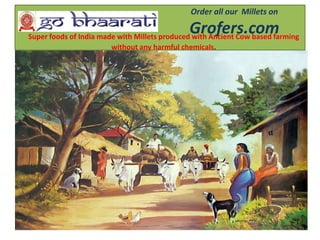 Order all our Millets on
Grofers.comSuper foods of India made with Millets produced with Ancient Cow based farming
without any harmful chemicals.
 