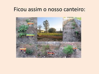 Ficou assim o nosso canteiro:
 