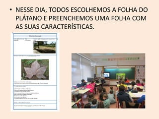 • NESSE DIA, TODOS ESCOLHEMOS A FOLHA DO
PLÁTANO E PREENCHEMOS UMA FOLHA COM
AS SUAS CARACTERÍSTICAS.
 