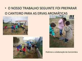 • O NOSSO TRABALHO SEGUINTE FOI PREPARAR
O CANTEIRO PARA AS ERVAS AROMÁTICAS
Pedimos a colaboração da Cercizimbra
 
