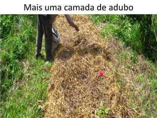 Mais uma camada de adubo
 