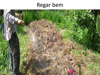 Regar bem
 