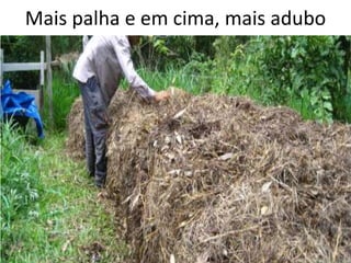 Mais palha e em cima, mais adubo
 
