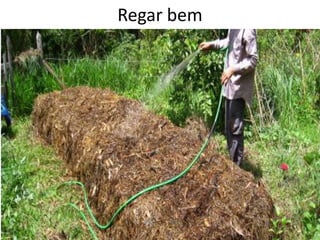 Regar bem
 
