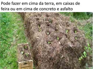 Pode fazer em cima da terra, em caixas de
feira ou em cima de concreto e asfalto
 