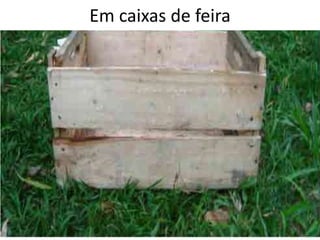 Em caixas de feira
 