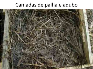 Camadas de palha e adubo
 