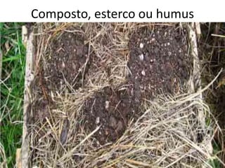 Composto, esterco ou humus
 
