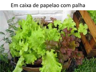 Em caixa de papelao com palha
 