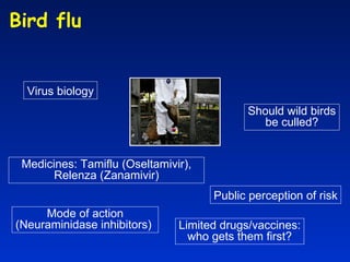 Mode of action (Neuraminidase inhibitors)  Should wild birds be culled? Medicines: Tamiflu (Oseltamivir), Relenza (Zanamivir) Public perception of risk Bird flu  Virus biology Limited drugs/vaccines: who gets them first? 