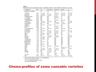 Chemo-profiles of some cannabis varieties
 