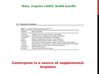 Many terpenes exhibit health benefits




Canterpene is a source of supplemental
               terpenes
 