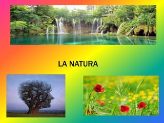 LA NATURA
 