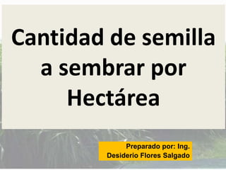 Cantidad de semilla a sembrar por Hectárea.pptx