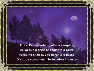 Fita o Céu estrelado, olha a campina, Deixa que a brisa te acalante o rosto, Pensa no chão que te garante o passo, O ar que consomes não te cobra imposto. 