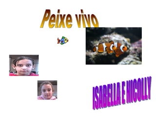 ISABELLA E NICOLLY Peixe vivo 