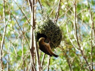 O cansaço que custa
 