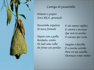 Cantiga de passarinho
Primeiro o projeto
Sem CREA, aprumado

Passarinho arquiteto     E são tantas vigílias
Já nasce formado         E entorte e incrusta
                         Que nem tu avalias
Depois vem a palha       O cansaço que custa
Bordados, estilos
De lado uma calha        Imagine a batalha
De frente uns pistilos   E o enorme carinho
                         Para vir um canalha
                         Destroçar o meu ninho!
 
