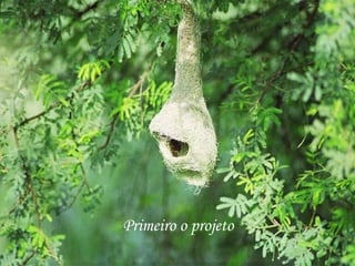 Primeiro o projeto
 