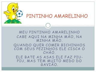 MEU PINTINHO AMARELINHO
CABE AQUI NA MINHA MÃO, NA
MINHA MÃO.
QUANDO QUER COMER BICHINHOS
COM SEUS PEZINHOS ELE CISCA O
CHÃO.
ELE BATE AS ASAS ELE FAZ PIU-
PIU, MAS TEM MUITO MEDO DO
GAVIÃO.
PINTINHO AMARELINHO
 