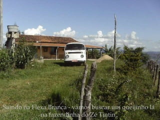 Saindo na Flexa Branca - vamos buscar um queijinho lá na fazendinha do Zé Tintin. 