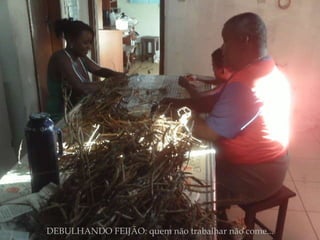 DEBULHANDO FEIJÃO: quem não trabalhar não come... 