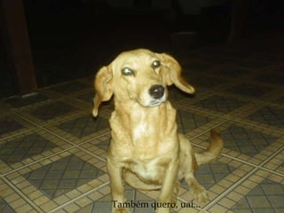 Também quero, uai... 