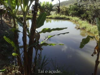 Taí o açude. .. 