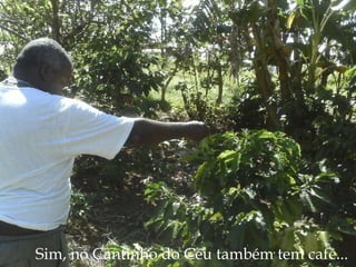 Sim, no Cantinho do Céu também tem café... 
