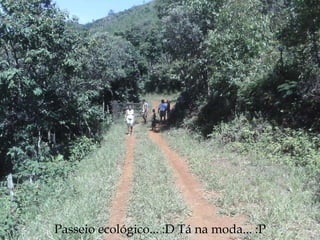 Passeio ecológico... :D Tá na moda... :P 