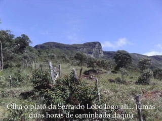 Olha o platô da Serra do Lobo logo ali... (umas duas horas de caminhada daqui) 