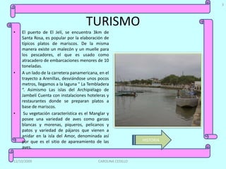 3




                                     TURISMO
•   El puerto de El Jelí, se encuentra 3km de
    Santa Rosa, es popular por la elaboración de
    típicos platos de mariscos. De la misma
    manera existe un malecón y un muelle para
    los pescadores, el que es usado como
    atracadero de embarcaciones menores de 10
    toneladas.
•   A un lado de la carretera panamericana, en el
    trayecto a Arenillas, desviándose unos pocos
    metros, llegamos a la laguna " La Tembladera
    “. Asimismo Las islas del Archipiélago de
    Jambelí Cuenta con instalaciones hoteleras y
    restaurantes donde se preparan platos a
    base de mariscos.
•    Su vegetación característica es el Manglar y
    posee una variedad de aves como garzas
    blancas y morenas, piqueros, pelicanos y
    patos y variedad de pájaros que vienen a
    anidar en la isla del Amor, denominada así
    por que es el sitio de apareamiento de las                HISTORIA
    aves.

12/10/2009                                 CAROLINA CEDILLO
 