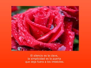 El silencio es la clave,  la simplicidad es la puerta  que deja fuera a los imbéciles. 