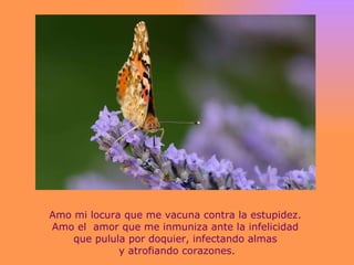 Amo mi locura que me vacuna contra la estupidez.  Amo el  amor que me inmuniza ante la infelicidad  que pulula por doquier, infectando almas  y atrofiando corazones. 