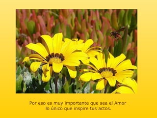 Por eso es muy importante que sea el Amor  lo único que inspire tus actos. 