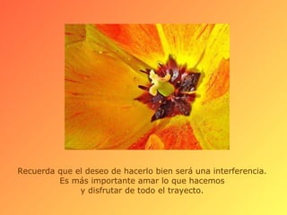 Recuerda que el deseo de hacerlo bien será una interferencia.  Es más importante amar lo que hacemos  y disfrutar de todo el trayecto.  